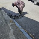 산포리민박 이미지