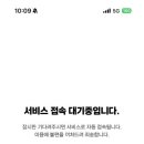 코끼리셀프 이미지