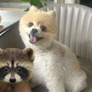 하이콤(주) | 9월 첫째주 주말 일상