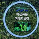 경기도 야생동물 구조관리센터 | [좋은열매어린이집] 경기도 야생생태학습장, 경기북부 야생구조관리센터에 다녀왔어요