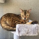 감자랑커피랑 이미지