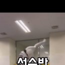 드래곤트릭킹짐 이미지