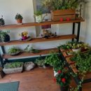 한식카페346.4S 이미지