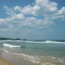 물소리바람소리 이미지