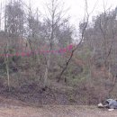 일부1리 이미지