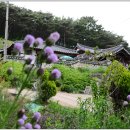 동산제 이미지