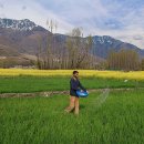 CW-0875-01 이미지