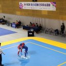 합기도·우슈 정도관 이미지