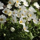 호숫가의 풍경 이미지