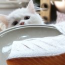 중화역3번출구 이미지