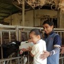 종환목장 이미지