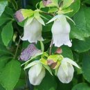 산포마을 이미지