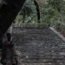 학성가구전문거리 이미지