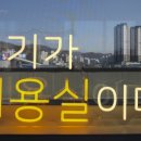 릴라 바바라 이미지