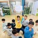 경희대더함태권도장