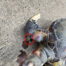 푸른바다 이미지