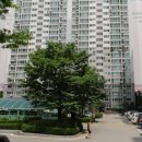 다산행복약국 이미지