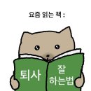 멋쟁이토마토