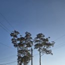 임하호수상레저타운 캠핑장 | 2026. 1. 안동 임하호 수상 레저타운 캠핑장