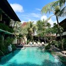 리빙마트 | 사누르 숙소 추천 | 1박 5만 원대 발리 아레나리빙 호텔 후기