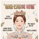 일센치뷰티 | 홈 뷰티 디바이스 "온힐 스킨 부스터"와 "천연성분의 올인원 기능성 앰플"이 만나 피부 미인이 될 수 있다.