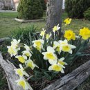 삶의 이야기가 있는 집 이미지