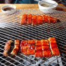 화심장어 이미지