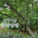 필봉산길 티스토리
