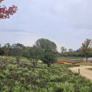 화서주공공인중개사사무소 | 조례동공인중개사 송천부동산 후기: 신뢰가는 법률 전문가와 함께