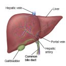 정재환한의원 이미지
