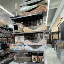 야옹아 멍멍해봐 상무점 이미지