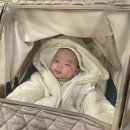 구루맘마 | 육아기록) 3개월의 씩씩이_100일 축하해🤎