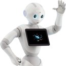pepper(페퍼)