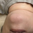 내고세천 이미지