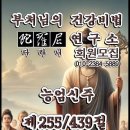 기라야미255) 이미지