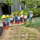 무동농장 이미지