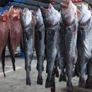 외포등대횟집 이미지