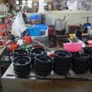 황여사 순대족발 이미지