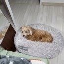 마포행복나눔푸드(뱅크)마켓 1호점 | 2월 일기 두가자 ~~