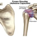 정림한의원 이미지
