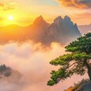 이제야 나로 산다 이미지