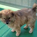 하리당구장 이미지