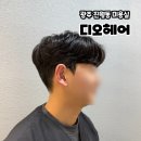 댕댕살롱앤스파 | 광주 남구 진월동 미용실 가르마펌 후기 디오헤어 앤 헤드스파