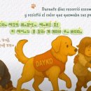 252 이미지