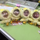 선사유치원(어린이집) 이미지