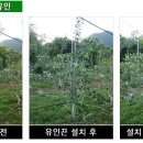 나무이엔씨 이미지