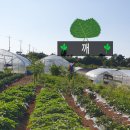 윤정 농장 이미지