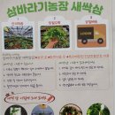 쌈바농장 이미지