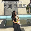 그르르 | 쉬는 날 강아지랑 어디 갈까 싶을 땐?! 🐶 익산 애견카페 [카페 그르르🐾]