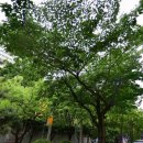 청우파크맨션1 이미지